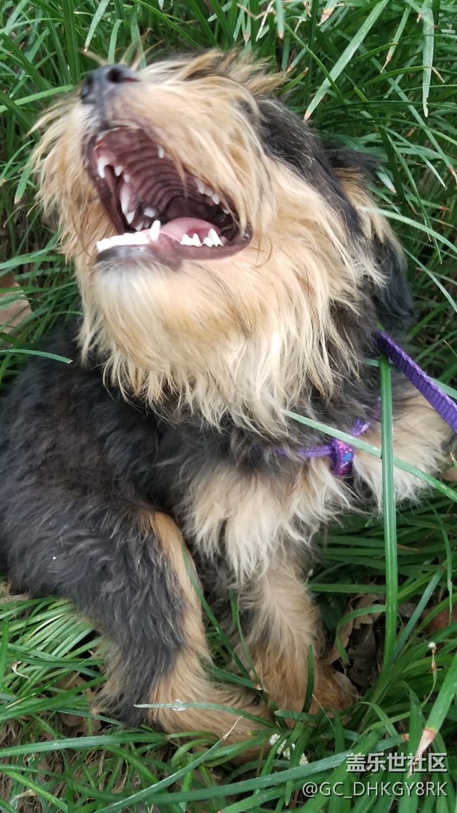 初來的“七月”