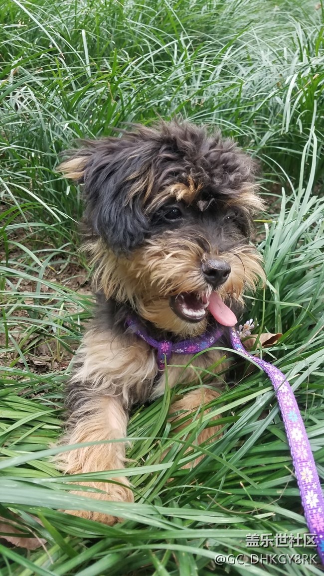 初來的“七月”