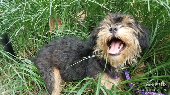 初來的“七月”