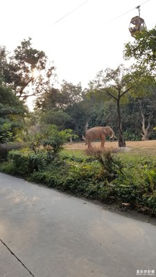 【2019最美瞬間】+動物園游記