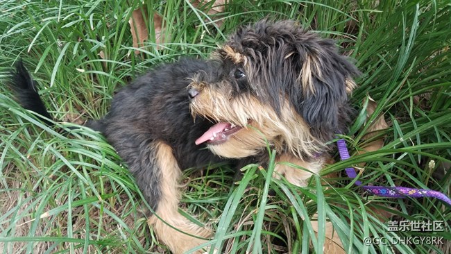 初來的“七月”