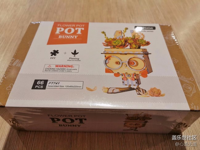 歲末，我們一起來種花