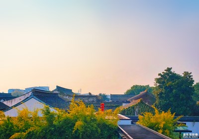 【2019最美瞬間】+尋美