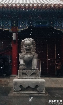 【2019最美瞬間】格格與雪