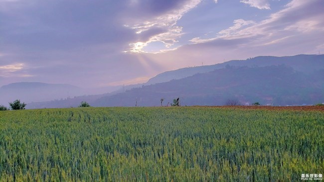 【每周星鮮事】第17期:圣誕快樂~