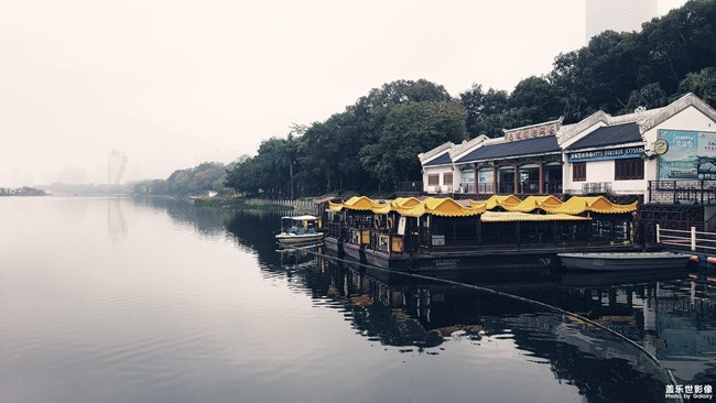 【每周星鮮事】第17期:圣誕快樂~