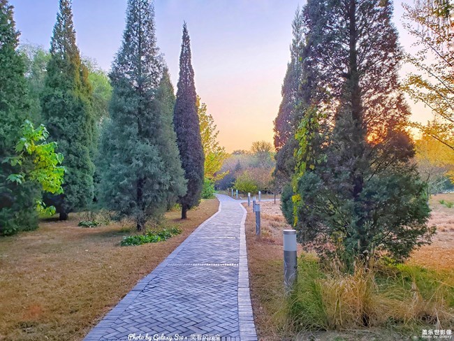 【每周星鮮事】第17期:圣誕快樂~