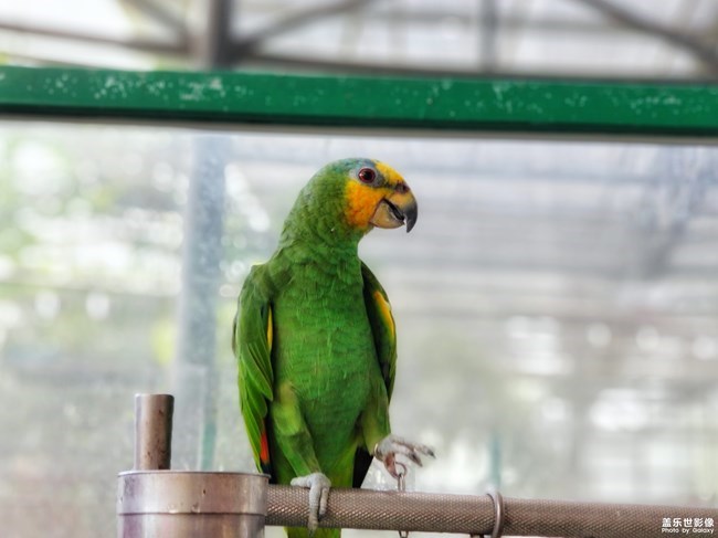 【每周星鮮事】第17期:圣誕快樂~