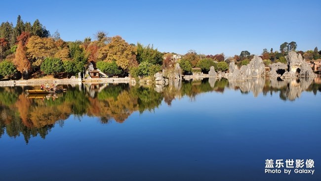 【每周星鮮事】第17期:圣誕快樂~