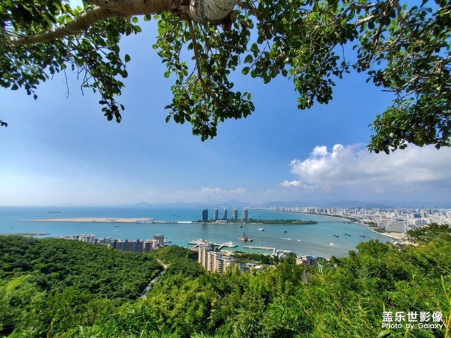 【每周星鮮事】第17期:圣誕快樂~