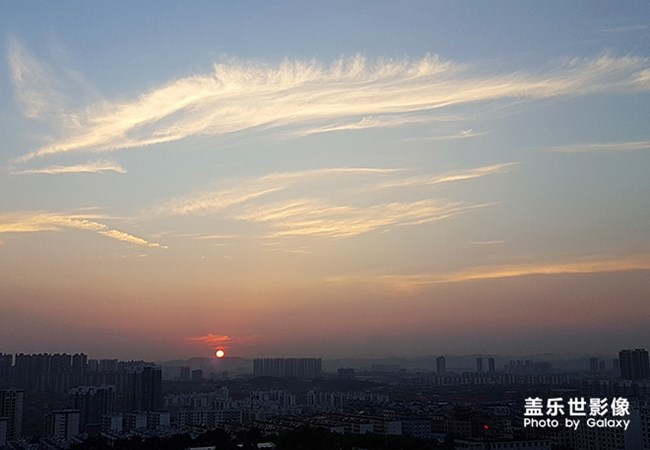 【每周星鮮事】第17期:圣誕快樂~