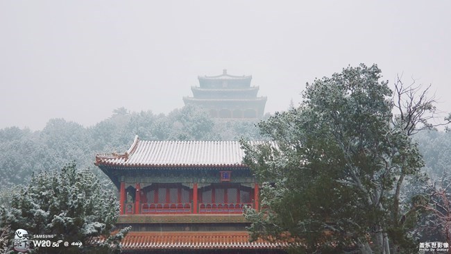 【每周星鮮事】第17期：圣誕快樂~