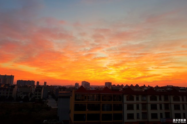 【每周星鮮事】第17期:圣誕快樂~