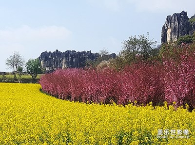 [2019最美瞬間]——彩云之南