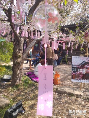 【雙旦驚喜】＋期末不掛科