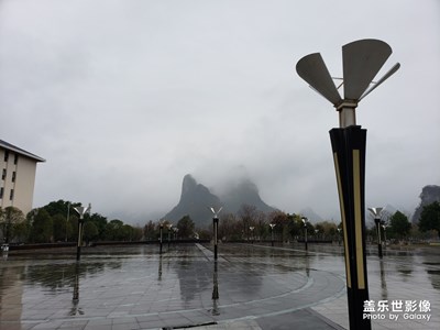 美麗桂電