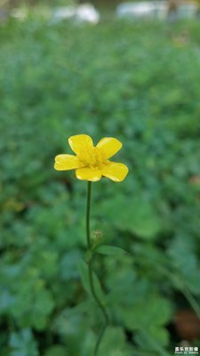 【2019最美瞬間】+野外