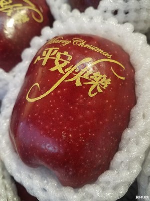 【雙旦驚喜】+平安果