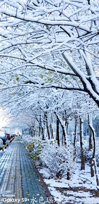 雪日的冬~白