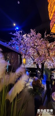 綠茶店午餐
