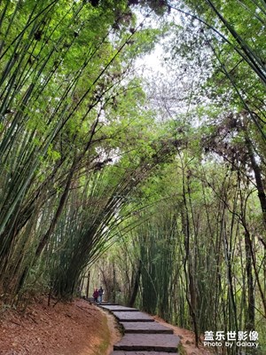 【雙旦驚喜】+雙節(jié)旅行隨手拍
