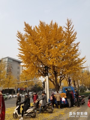 【2019最美瞬間】+生活隨筆