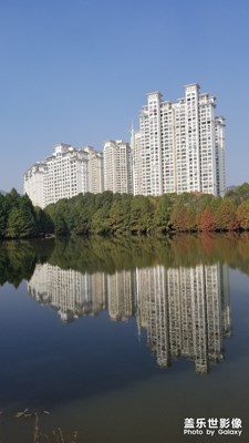 【2019最美瞬間】+陽光午后