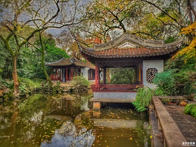 【2019最美瞬間】+Galaxy Fold鏡頭下的深冬