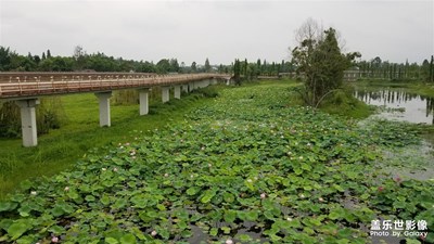 你好2020+回望我的2019 綠色田野騎行山中古寺露營