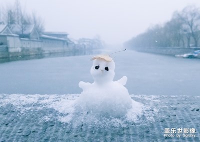 【雙旦驚喜】2019年的雪景