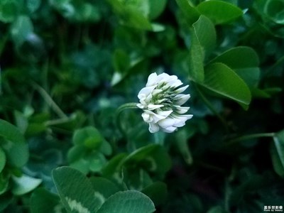 【你好2020】+新年首拍