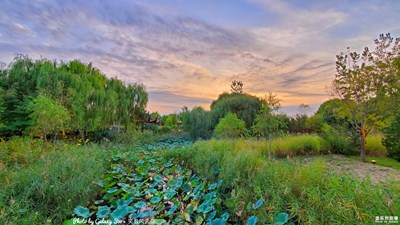 Galaxy S10+ 夕陽(yáng)的金輝（三）