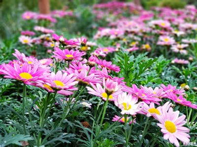 【你好2020】+新的一年新氣象