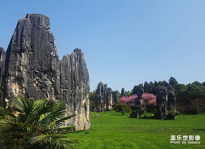 [你好2020]——石林印象