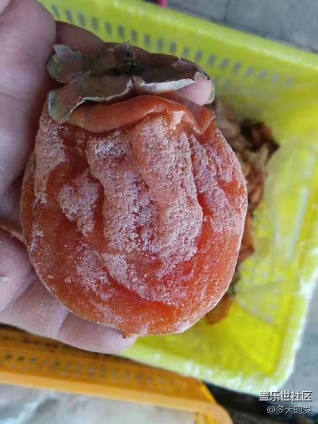 【雙旦驚喜】+柿餅之王