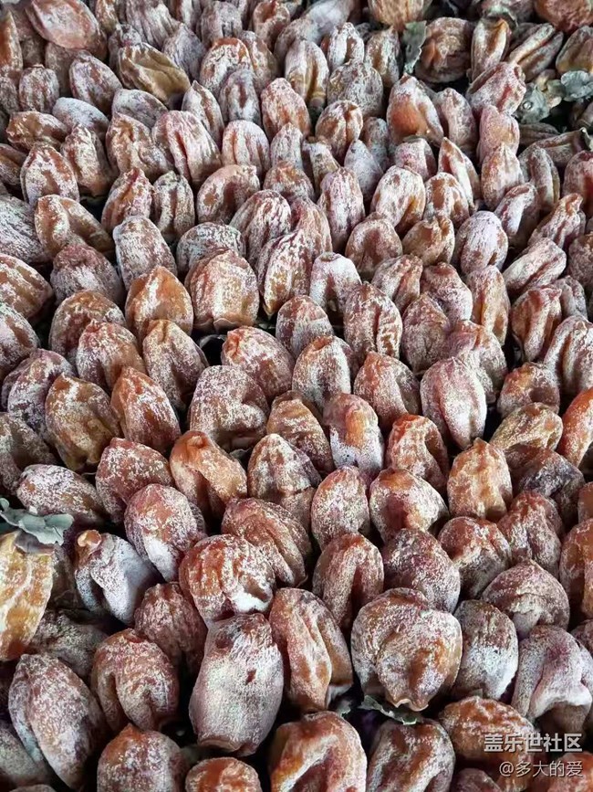 【雙旦驚喜】+柿餅之王