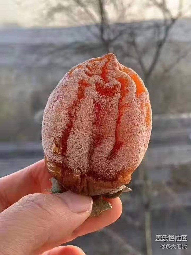 【雙旦驚喜】+柿餅之王