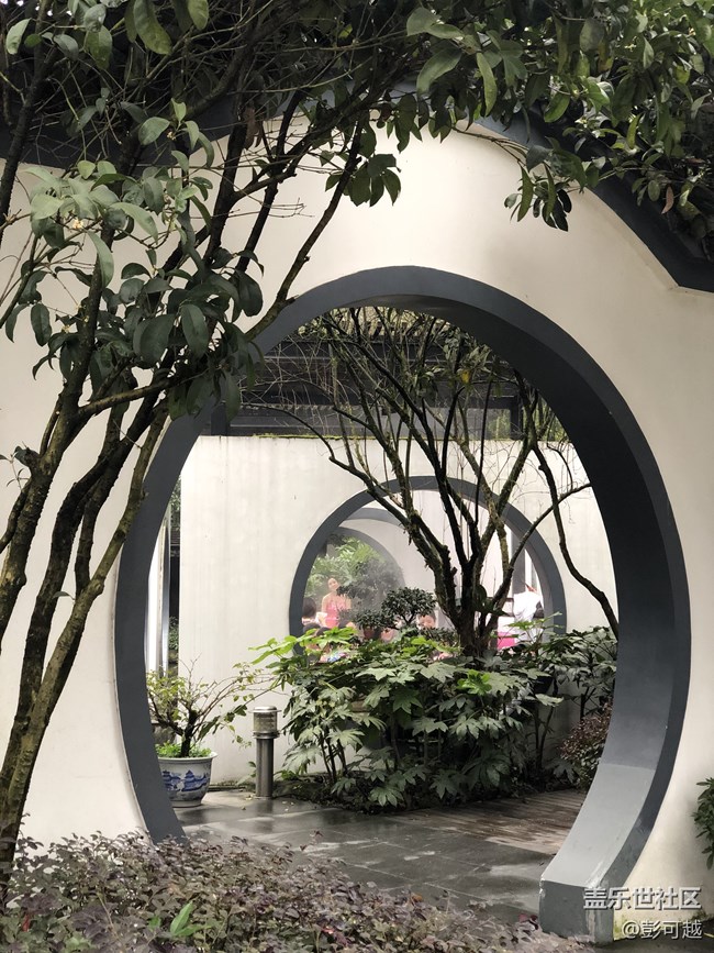 【活動回顧】辭舊迎新，叮-新年溫泉彈