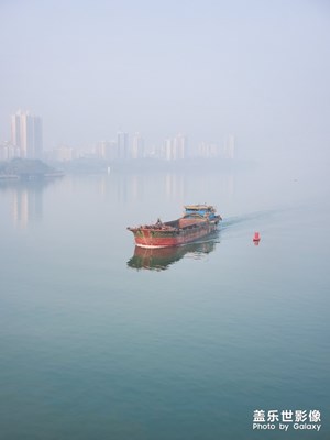 早晨的霧