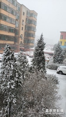 【你好2020】+ 一場(chǎng)雪引發(fā)對(duì)2019的思念