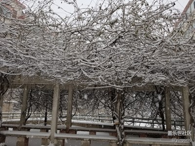 隨拍