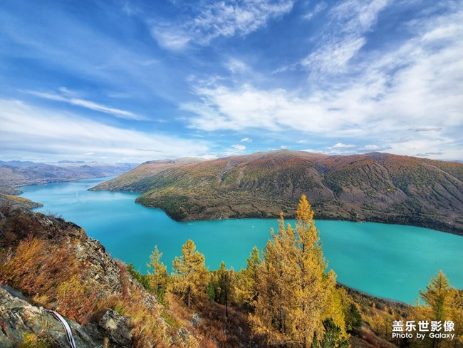 【每周星鮮事】第18期：運(yùn)動(dòng)版塊開幕啦