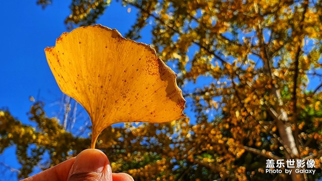 【每周星鮮事】第18期：運(yùn)動(dòng)版塊開幕啦