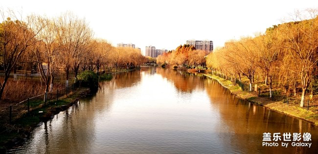 【每周星鮮事】第18期：運(yùn)動(dòng)版塊開幕啦