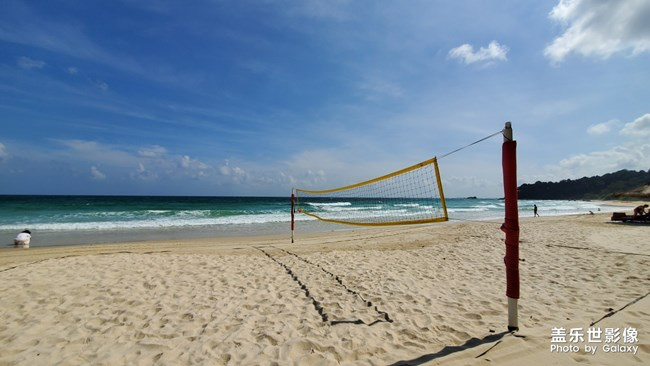 【每周星鮮事】第18期：運(yùn)動(dòng)版塊開幕啦