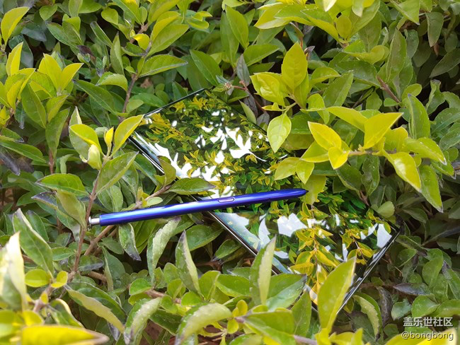 【每周星鮮事】第18期：運(yùn)動(dòng)版塊開幕啦