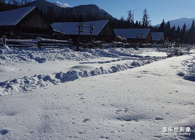 【每周星鮮事】第18期：運(yùn)動(dòng)版塊開幕啦