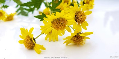 帶著19走進(jìn)20