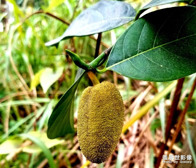 【每周星鮮事】第18期：運(yùn)動(dòng)版塊開幕啦