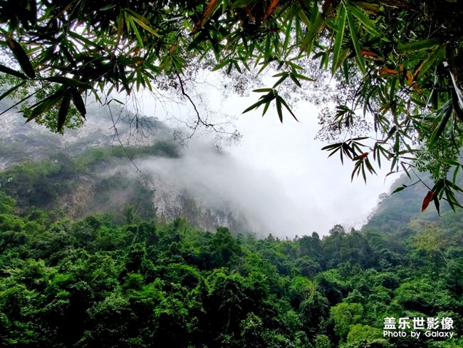 【每周星鮮事】第18期：運(yùn)動(dòng)版塊開幕啦